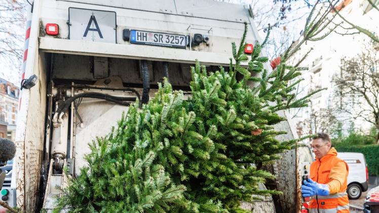 Stadtreinigung sammelt ausgediente Weihnachtsbäume ein