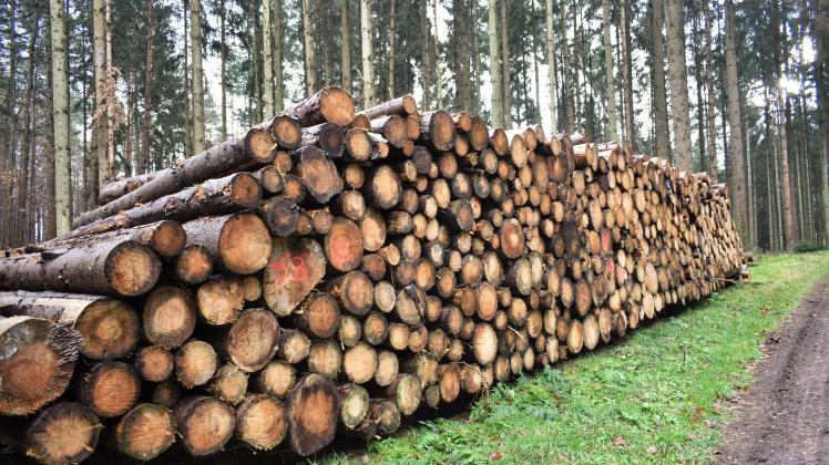 In einem Waldstück bei Kirch Rosin liegen schon viele Raummeter Holz bereit zum Verkauf.