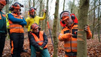 Ralf Soltau (rechts) zeigt den Teilnehmern des Motorsägen-Kurses, wie man richtig einen Baum fällt. 
