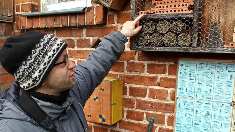 Benjamin Weigelt zeigt am Beispiel eines Insektenhotels, wie man im heimischen Garten für Artenschutz sorgen kann.