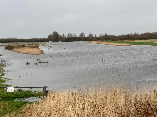 Sturm und Regen: Wie ist die Lage an Nordsee und Treene?