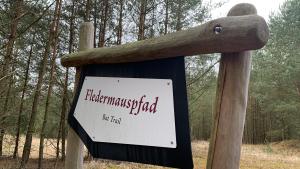Der Fledermauspfad befindet sich im Naturpark Nossentiner/Schwinzer Heide bei Bossow. 