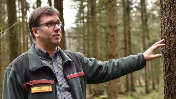 In seinem Element: Im Forstort Papenbusch bei Meppen erklärt Thomas Schomaker die Vorteile des Nadelholzmischwaldes. 
