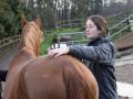 So ist der Arbeitsalltag einer Tiermedizinerin aus Hagen (Anna Lankenfeld) #neolocal Reportage***Stichworte*** Tierarzt, Tiermedizin, Pferd

