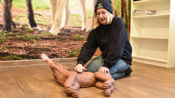 An einer Hundepuppe erklärt Katja Timmermann wie die Herz-Lungen-Wiederbelebung beim Vierbeiner gemacht wird.