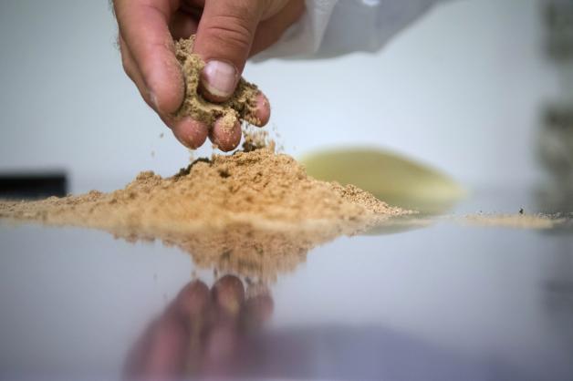 Insektenmehl im Frühstücksbrötchen - ohne Kennzeichnungspflicht | SHZ