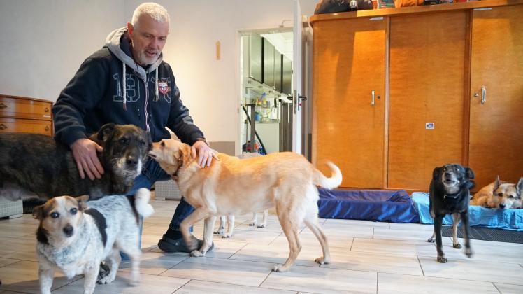 Zwölf betagte Vierbeiner leben zur Zeit im Seniorenheim der Stiftung Dogworld von Thomas und Ina Baumann in Geeste. Im Gebäude des ehemaligen Cafés zur Schleuse haben die Hunde ihr Reich. 