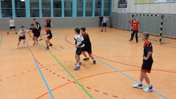 Plauer SV Handball
