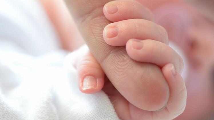 Newborn hand holding the finger of his parent. , 22237770.jpg, hand, baby, child, adult, finger, macro, human, family, s