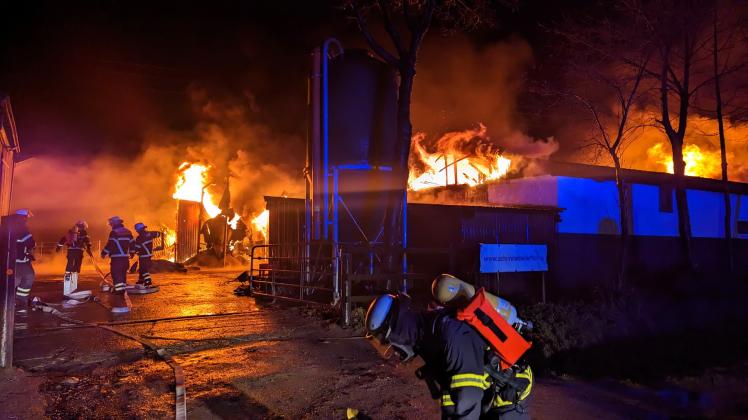 Hamburg Rahlstedt - Pferdestall in Flammen - Polizei erschießt Tiere