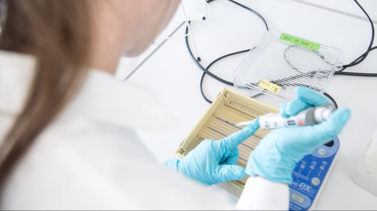 Laborantin beim Testen