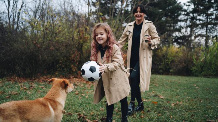 Happy mother and daughter playing with dog at park model released, Symbolfoto property released, MDOF00414