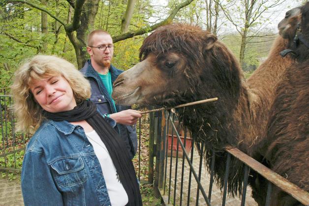 Weicht vor dem Kuss eines Kamels ein wenig zurück: NNN-Reporterin Maria Pistor 2004 bei einem Termin im Rostocker Zoo. 