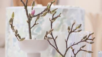 Besondere Vasen: Helfer fürs Arrangieren von Blumen und Zweigen