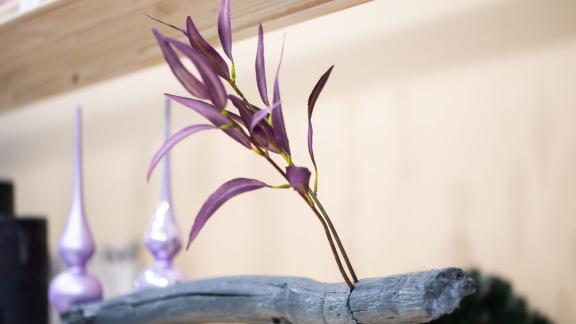 Ast mit Riss hält einzelne Blumen Ast mit Riss hält einzelne Blumen