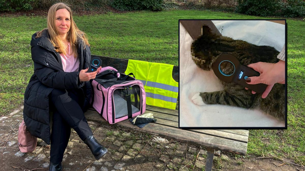 Totfund Katzen Schleswig Holstein hilft verzweifelten Besitzern