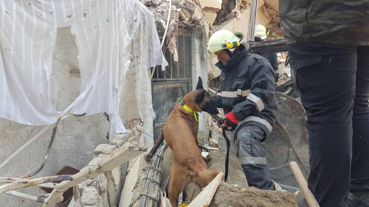 Erdbebenkatastrophe in der Türkei - Rettungsteams