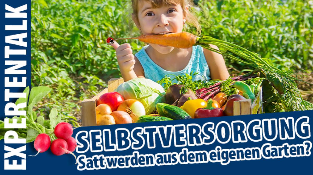 im eigenen Garten? Unsere Tipps im Livestream