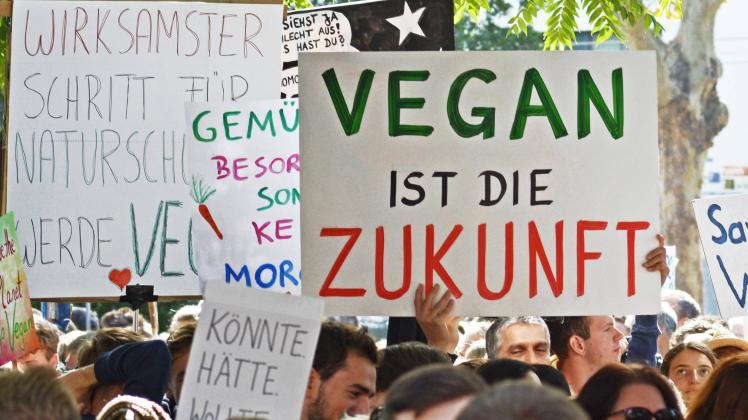 Demonstranten beim Global Climate Strike mit hochgehaltenem Papierschild mit der Aufschrift Die Zukunft ist vegan, Heide