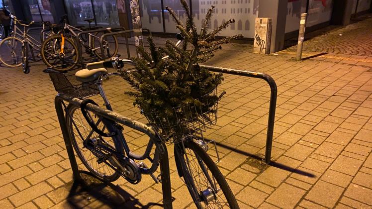 Weihnachten trifft Fahrrad: Kuriositäten wie Tannenbäume in Fahrradkörben gehören zum Stadtbild in der Rostocker KTV. 