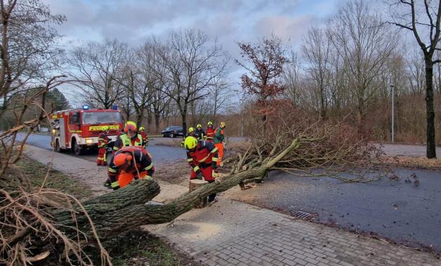Sturmtief Ulf richtet im Kreis HerzogtumLauenburg Schäden an SHZ