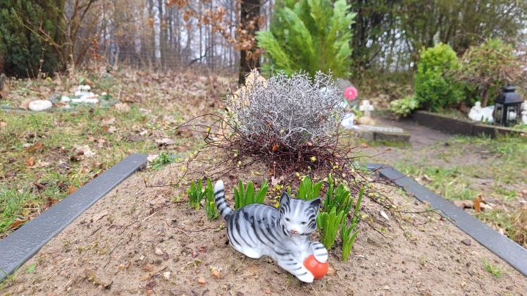 Ein Grab für das geliebte Haustier: Viele Tierbesitzer entscheiden sich für eine Bestattung, zum Beispiel auf dem Tierfriedhof in Pampow.