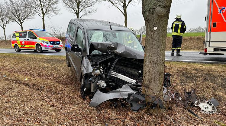 Der Fahrer kracht mit seinem Auto frontal gegen einen Baum.