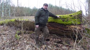 Dieser tote Baum bildet einen wertvollen Lebensraum für Pflanzen und Tiere, erklärt Perlebergs Stadtförster Raphael Wentzel.