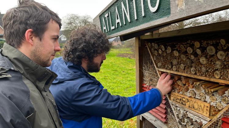 Studenten erforschen Bienen in Elmenhorst mit DNAAnalyse