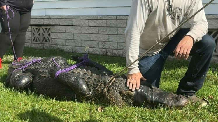 This handout video grab provided by St. Lucie County Sheriff's Office shows Florida Fish and Wildlife investigators responding to a deadly alligator attack on an 85-year-old woman who was walking her dog, in Fort Pierce, Florida on February 20, 2023. - The neighbor, identified only as Carol, said she saw the woman, who has not been named, being dragged into water by the 10-foot (three-meter) reptile during an attack at the Spanish Lakes Fairways community in Fort Pierce on February 20, 2023. (Photo by Handout / St. Lucie County Sheriff's Office / AFP) / RESTRICTED TO EDITORIAL USE - MANDATORY CREDIT "AFP PHOTO /  St. Lucie County Sheriff's Office" - NO MARKETING - NO ADVERTISING CAMPAIGNS - DISTRIBUTED AS A SERVICE TO CLIENTS