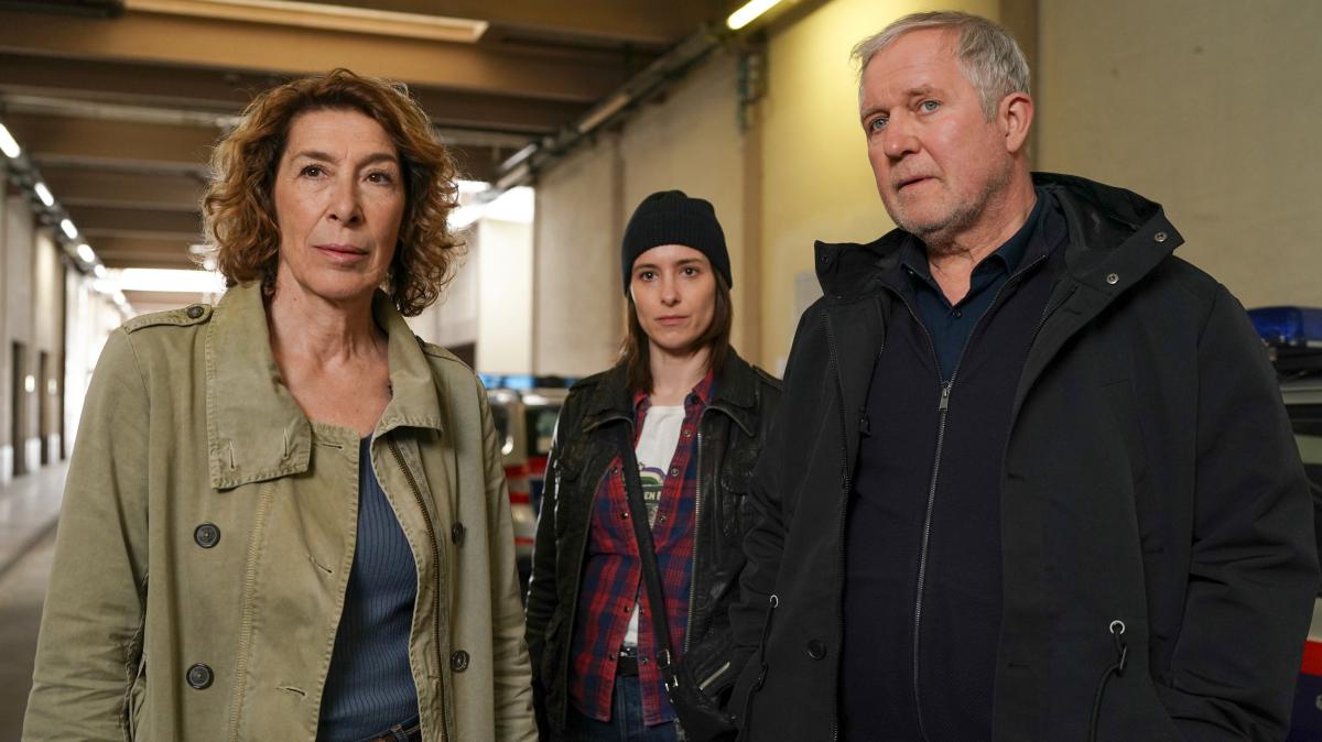 „Tatort“ heute Abend aus Wien Kommissare reif für die Rente? SHZ