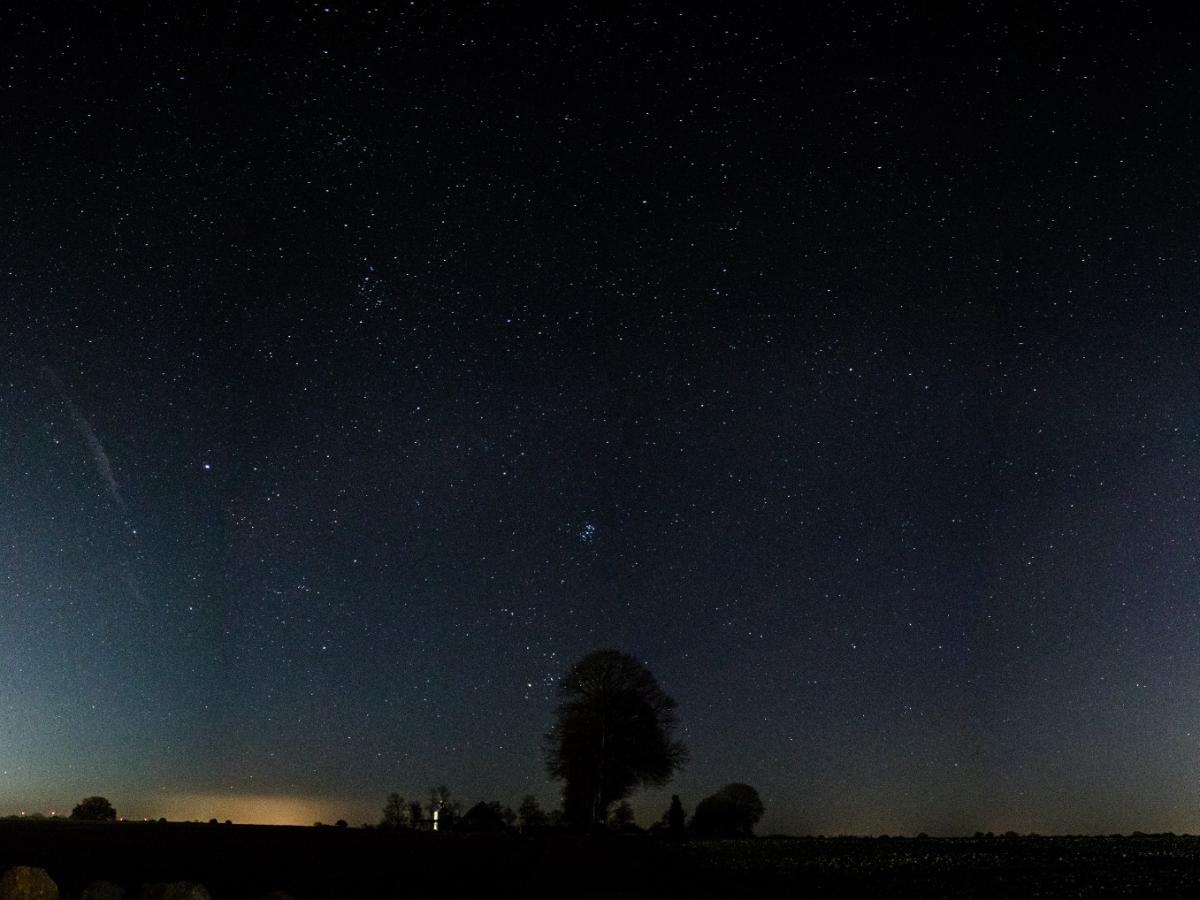 Lichtverschmutzung Ostholstein: Die Folgen für Mensch und Natur
