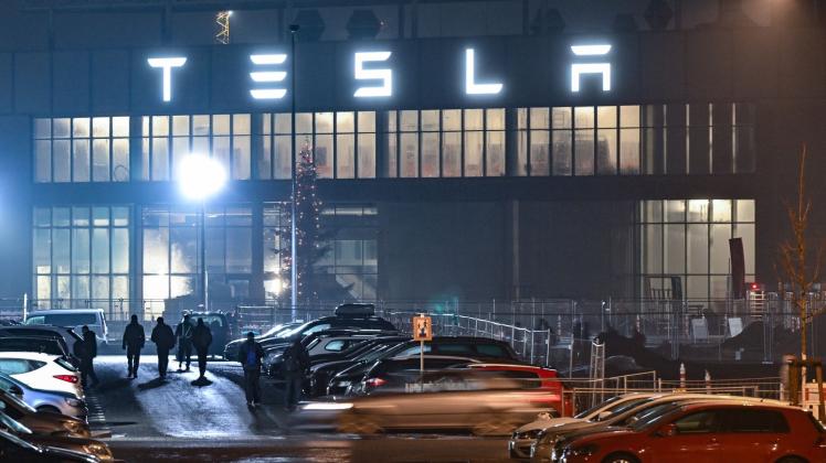 Tesla in Brandenburg