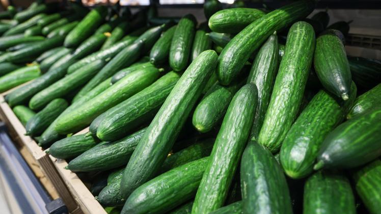 RUSSIA, ROSTOV-ON-DON - FEBRUARY 9, 2023: Cucumbers on display at a Magnit supermarket. Erik Romanenko/TASS PUBLICATIONx