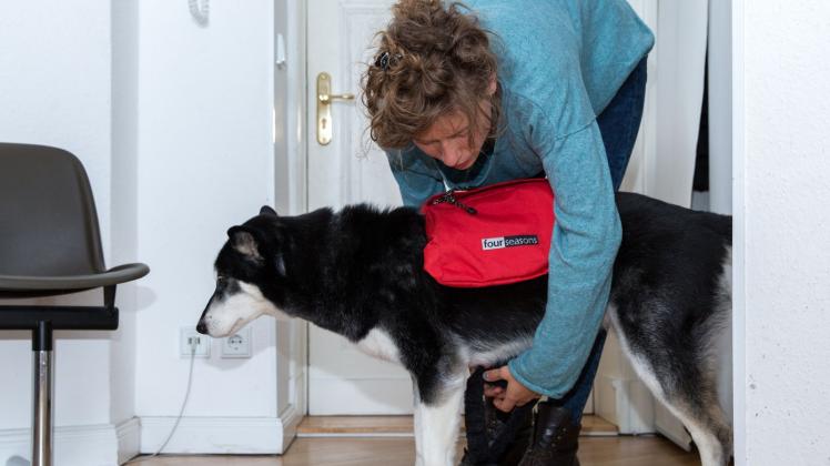 Eine Frau schnallt einem Hund einen Rucksack um