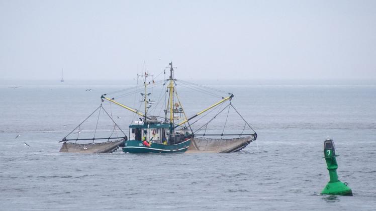 Fischkutter