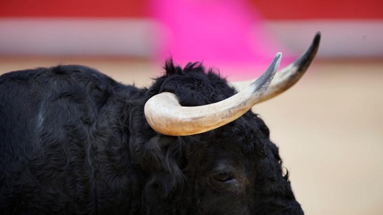 Bullfight feria Beziers