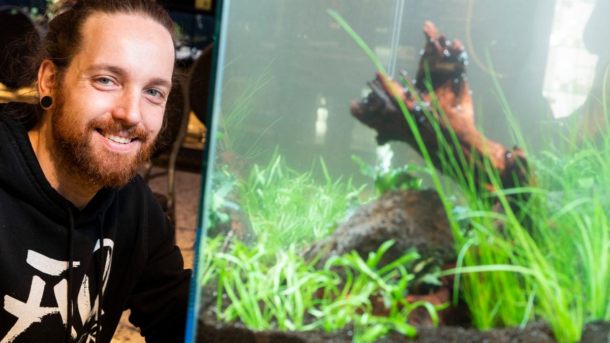 Youtube star Tobias Gawrisch shows aquascaping in Osnabrück