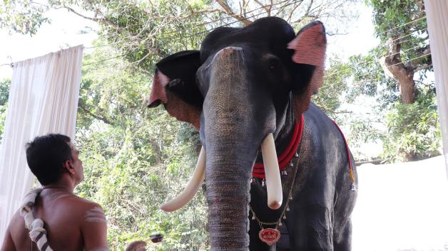 Der mechanische Elefant soll bei religiösen Ritualen und Festen helfen. 