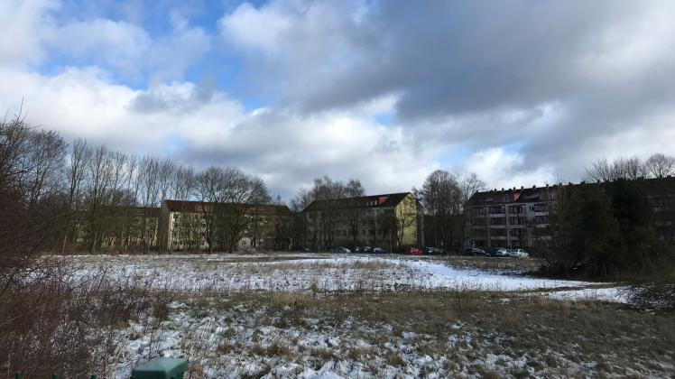 Noch liegt das Grundstück für den geplanten Schulcampus in Reutershagen brach.