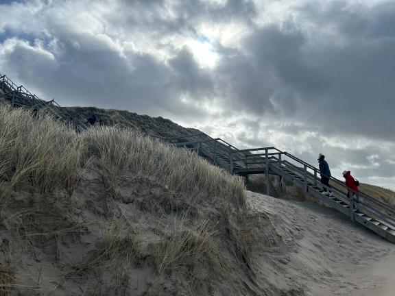 Erstaunlich Wetter Sylt 30 Tage Westerland Bild