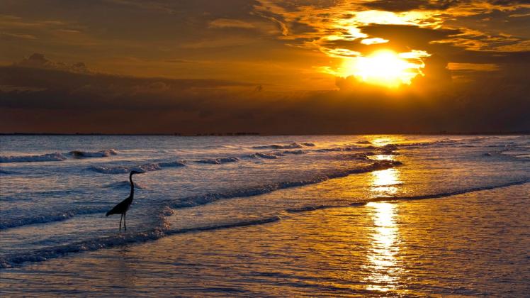 Sonnenuntergang am Strand in Florida
