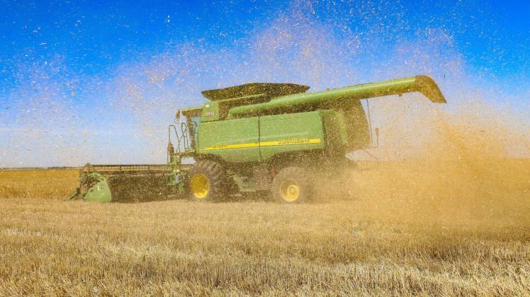 Getreideernte im Ukraine-Krieg