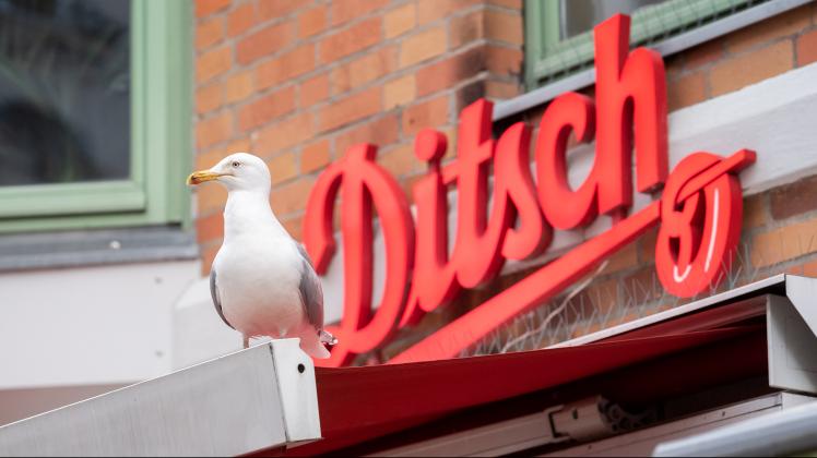  Vor dem „Ditsch”-Verkauf in der Kröpeliner Straße warten die Vögel auf unvorsichtige Zweibeiner, wie NNN-Redakteurin Anne Luttermann im Selbstversuch feststellen musste.