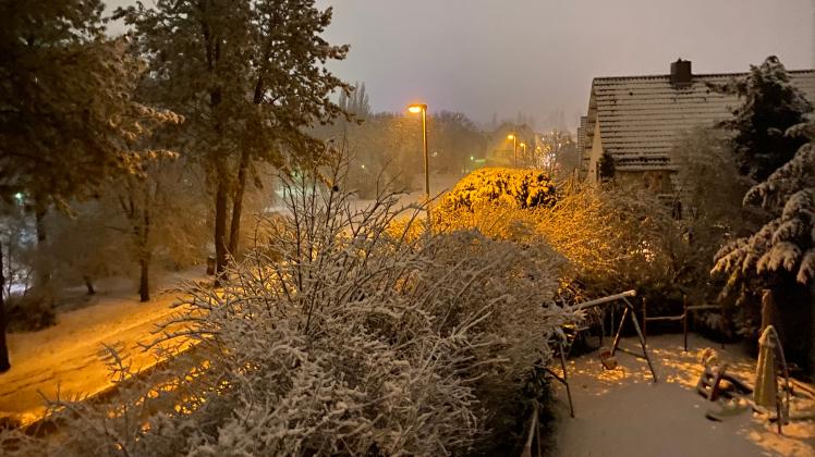 Schnee Westerberg