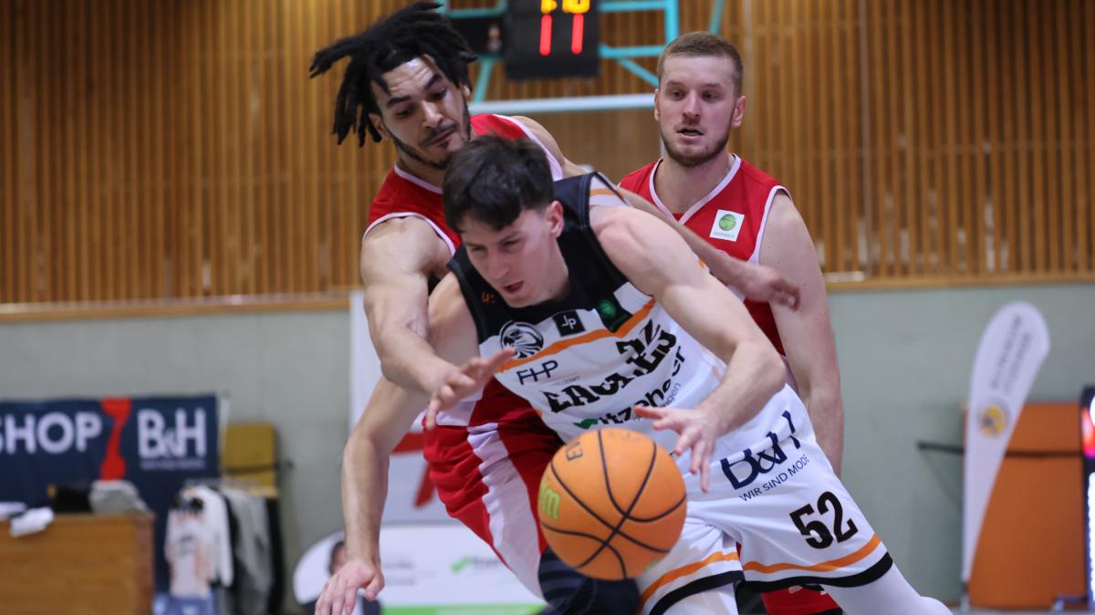 Basketball: Itzehoe Eagles Unterliegen RheinStars Köln | SHZ