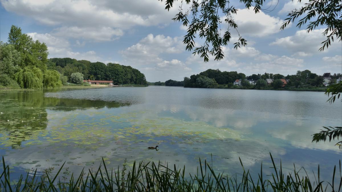 Herrenteich Reinfeld Große um den historischen Teich