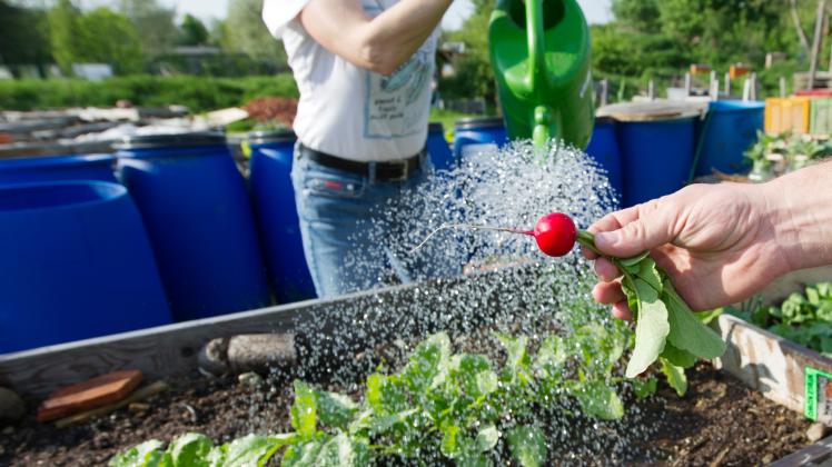 Gartenarbeit