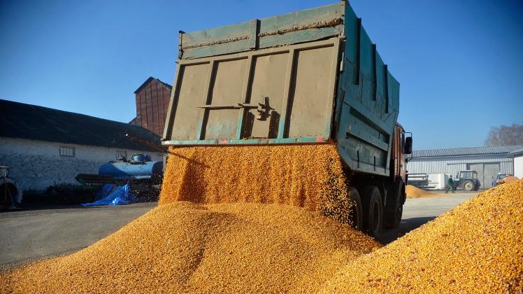 Getreidabkommen für Ukraine verlängert