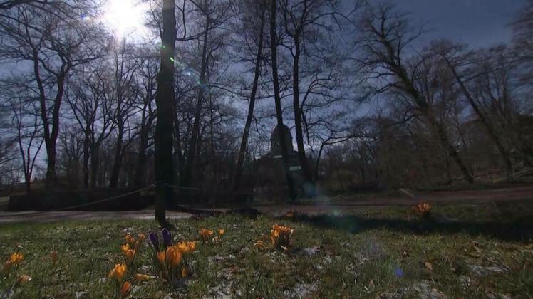 Der Frühling ist endlich da: Bis zu 20 Grad am Wochenende